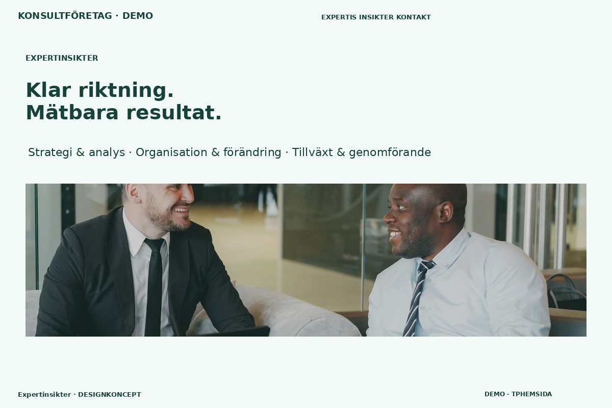 Expertinsikter – designförslag för konsultföretag