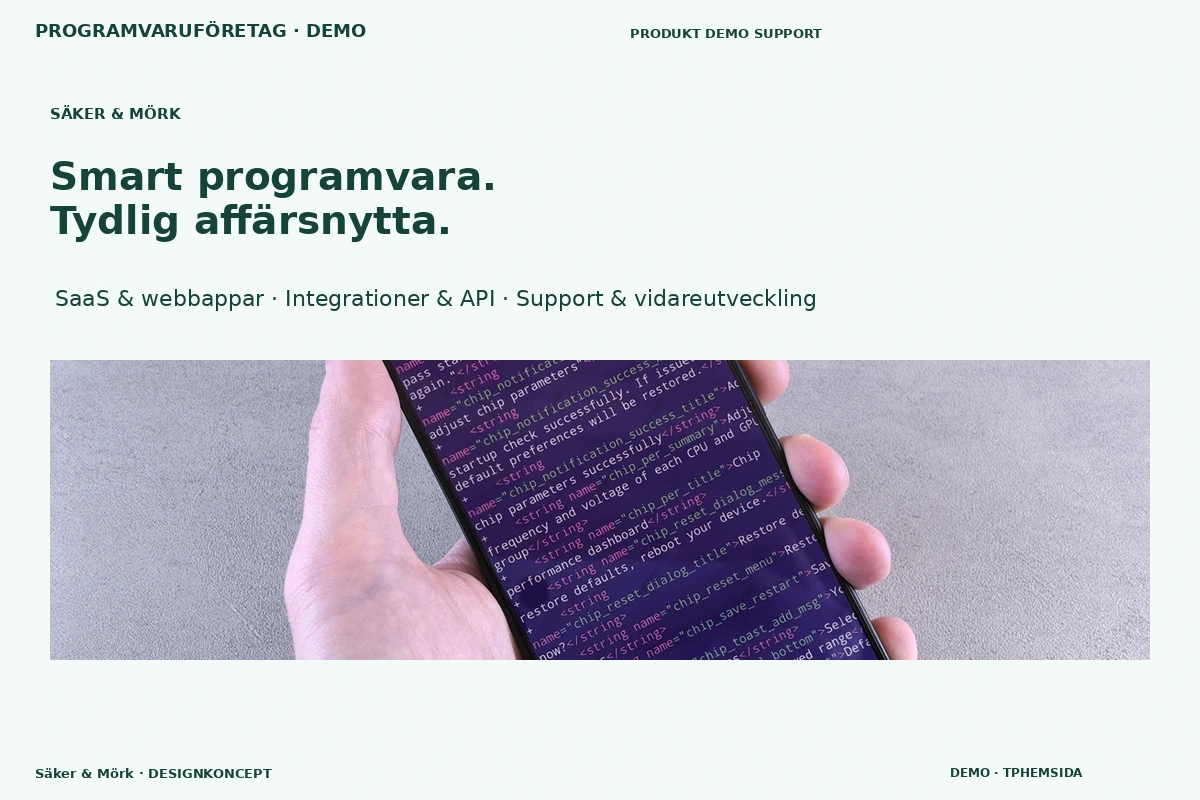 Säker & Mörk – designförslag för programvaruföretag