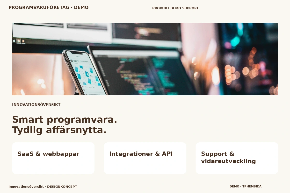 Innovationsöversikt – relaterat designförslag för programvaruföretag