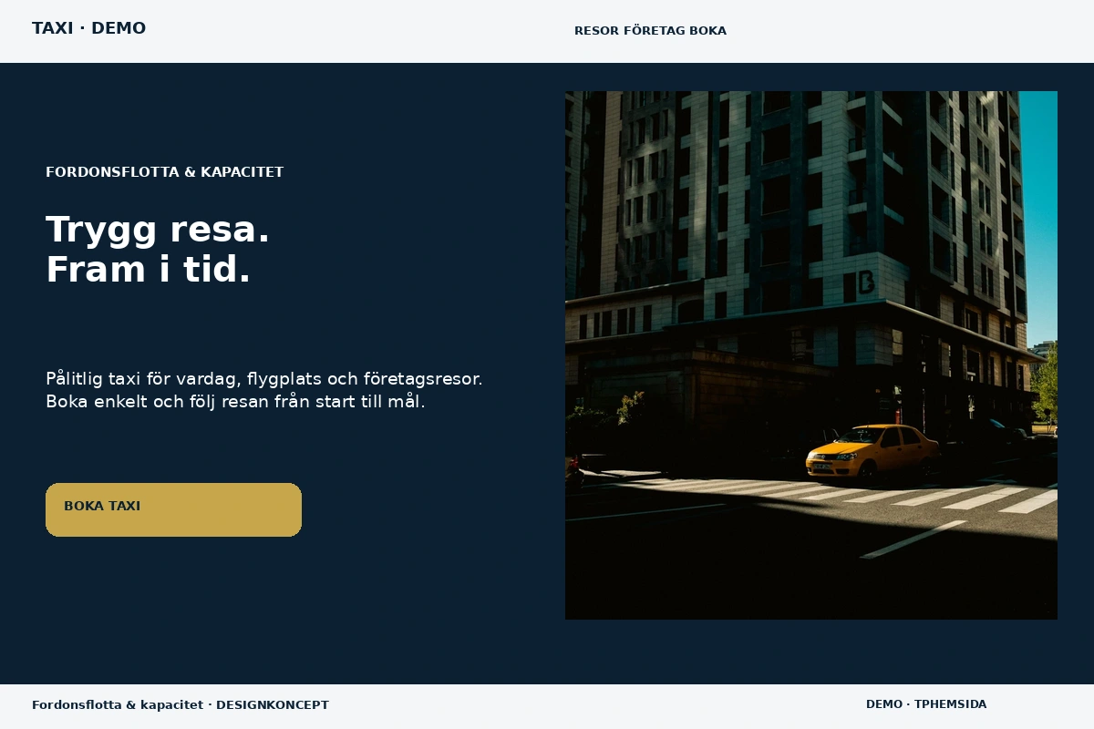 Fordonsflotta & kapacitet – designförslag för taxi