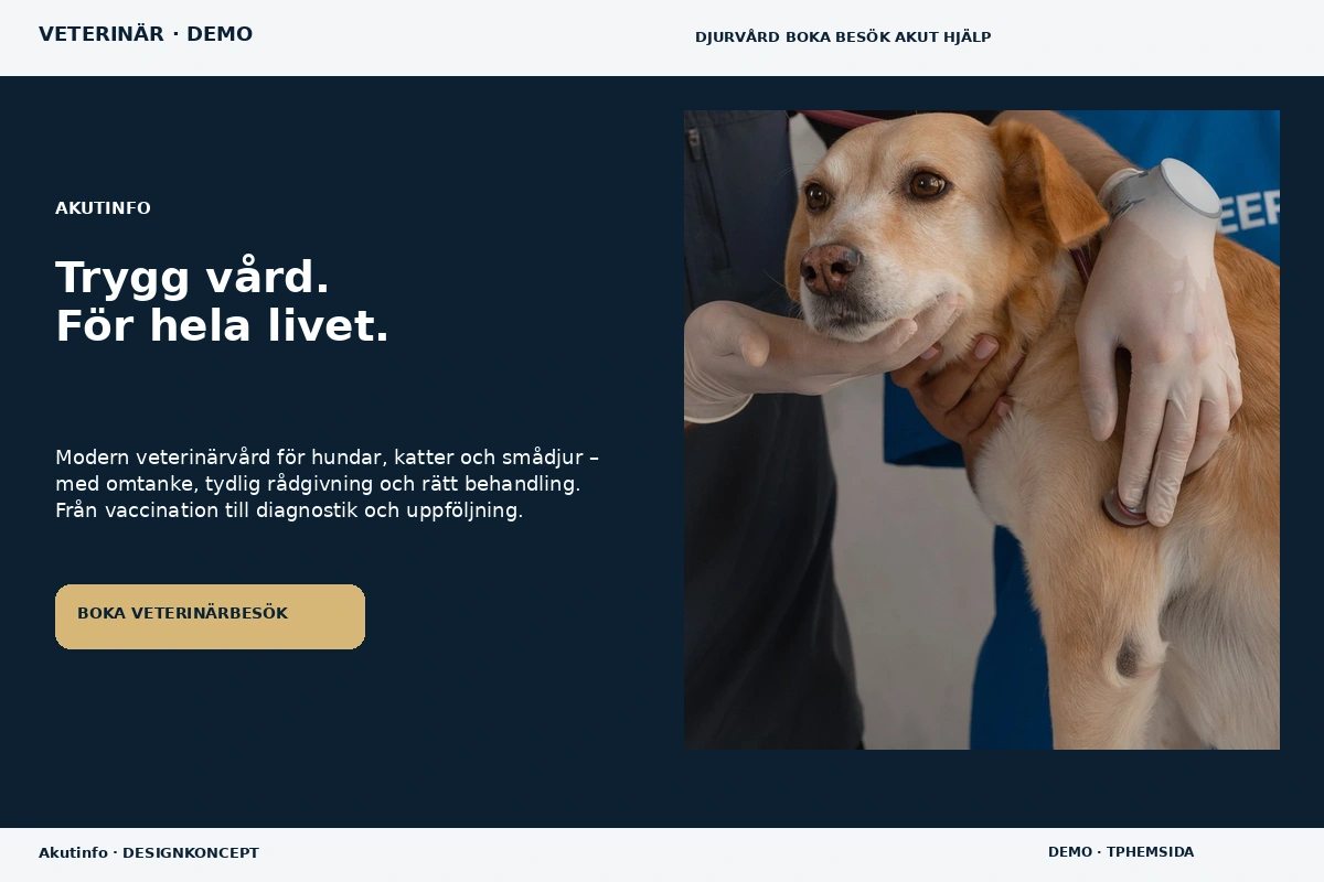 Akutinfo – designförslag för veterinär