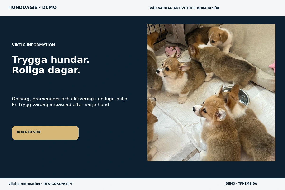 Viktig Information – relaterat designförslag för hunddagis