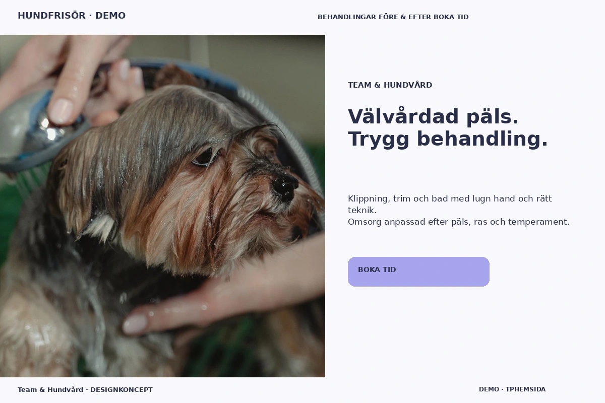 Team & Hundvård – designförslag för hundfrisör