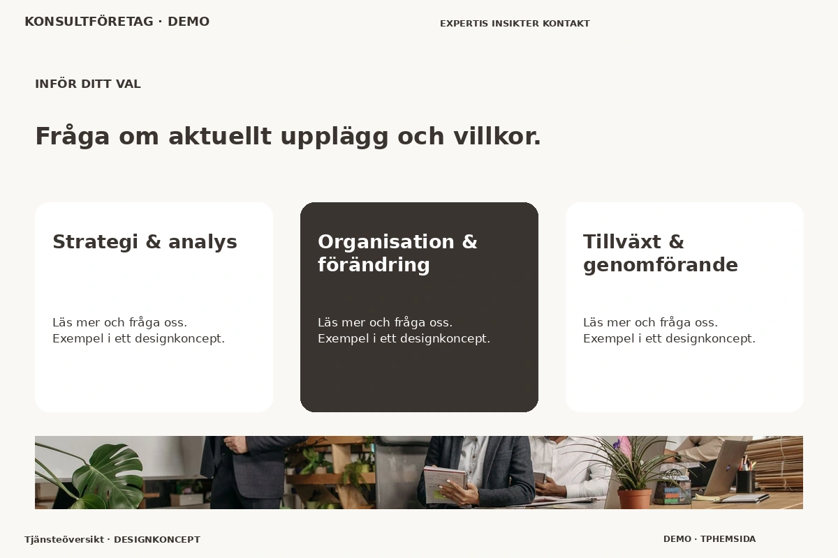 Tjänsteöversikt – Alternativ & villkor för konsultföretag