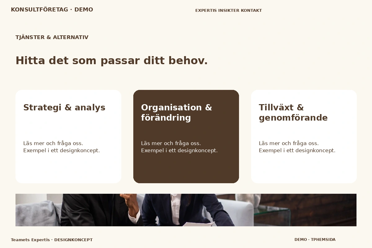 Teamets Expertis – Tjänster & alternativ för konsultföretag