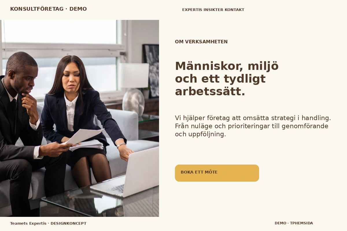 Teamets Expertis – Om verksamheten för konsultföretag