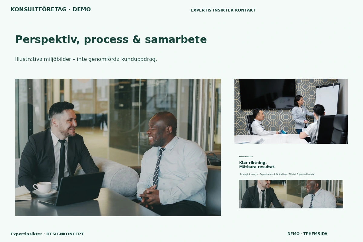 Expertinsikter – Perspektiv, process & samarbete för konsultföretag