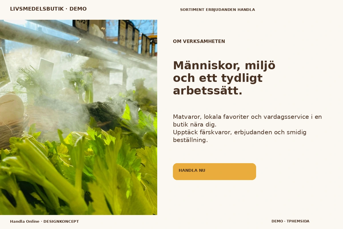 Handla Online – Om verksamheten för livsmedelsbutik