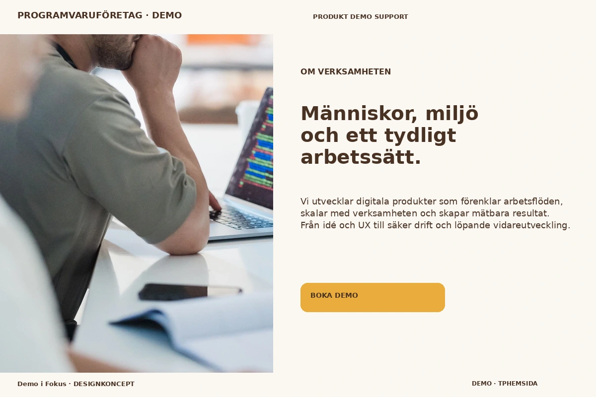 Demo i Fokus – Om verksamheten för programvaruföretag