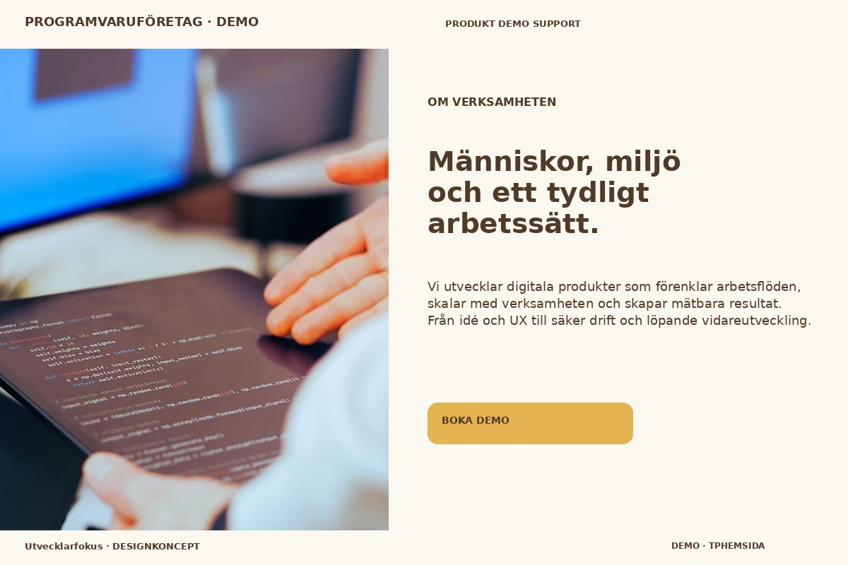 Utvecklarfokus – Om verksamheten för programvaruföretag
