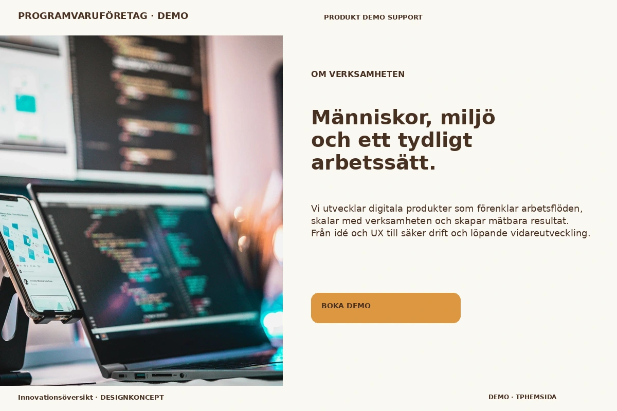 Innovationsöversikt – Om verksamheten för programvaruföretag