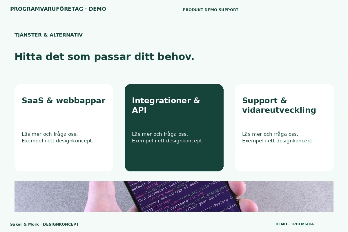 Säker & Mörk – Tjänster & alternativ för programvaruföretag