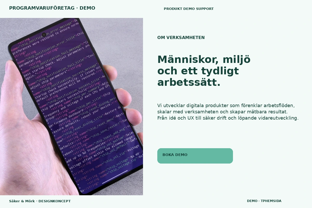 Säker & Mörk – Om verksamheten för programvaruföretag