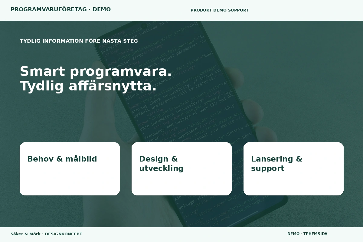 Säker & Mörk – Inför ditt val för programvaruföretag