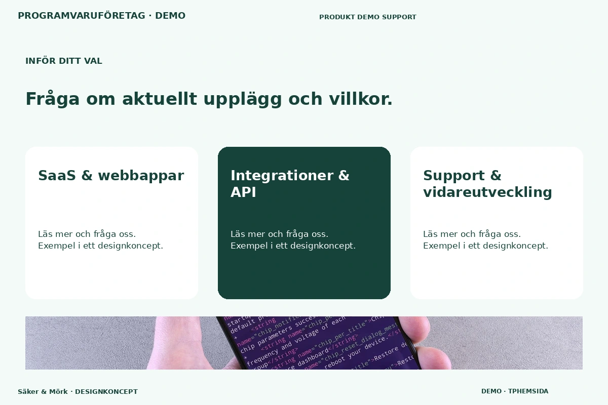 Säker & Mörk – Alternativ & villkor för programvaruföretag