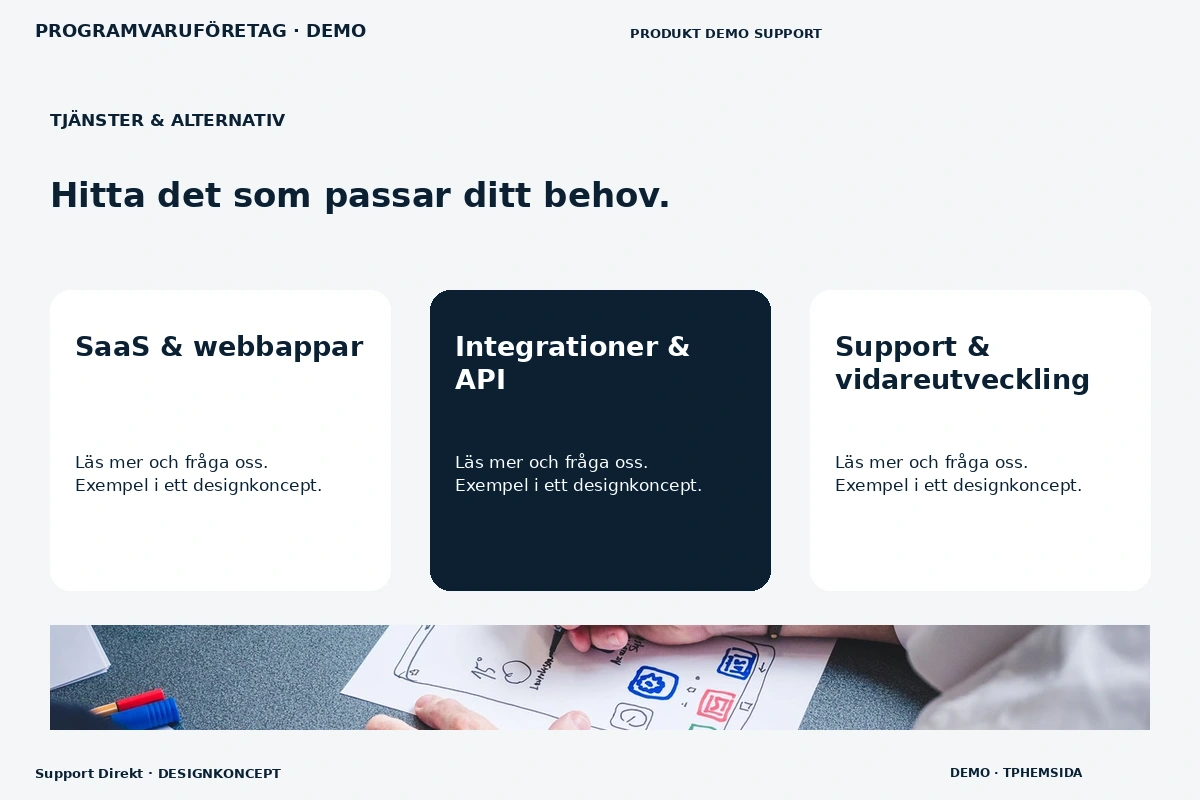 Support Direkt – Tjänster & alternativ för programvaruföretag