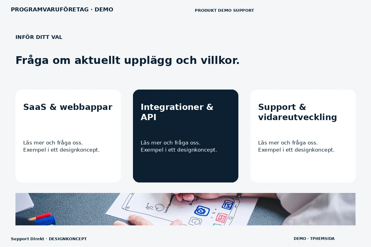 Support Direkt – Alternativ & villkor för programvaruföretag