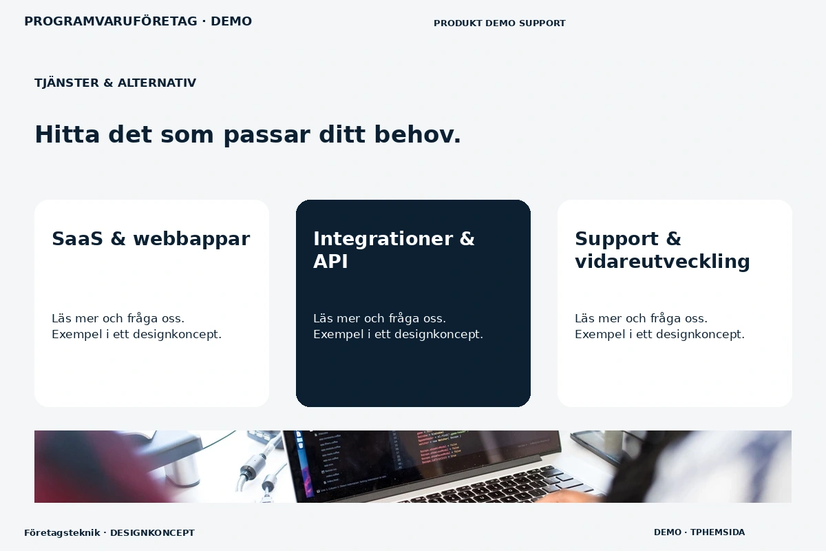 Företagsteknik – Tjänster & alternativ för programvaruföretag