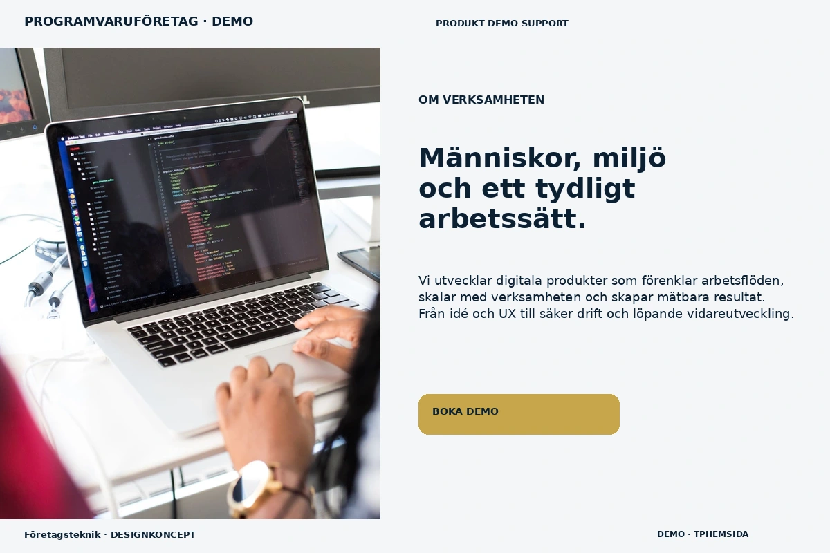 Företagsteknik – Om verksamheten för programvaruföretag