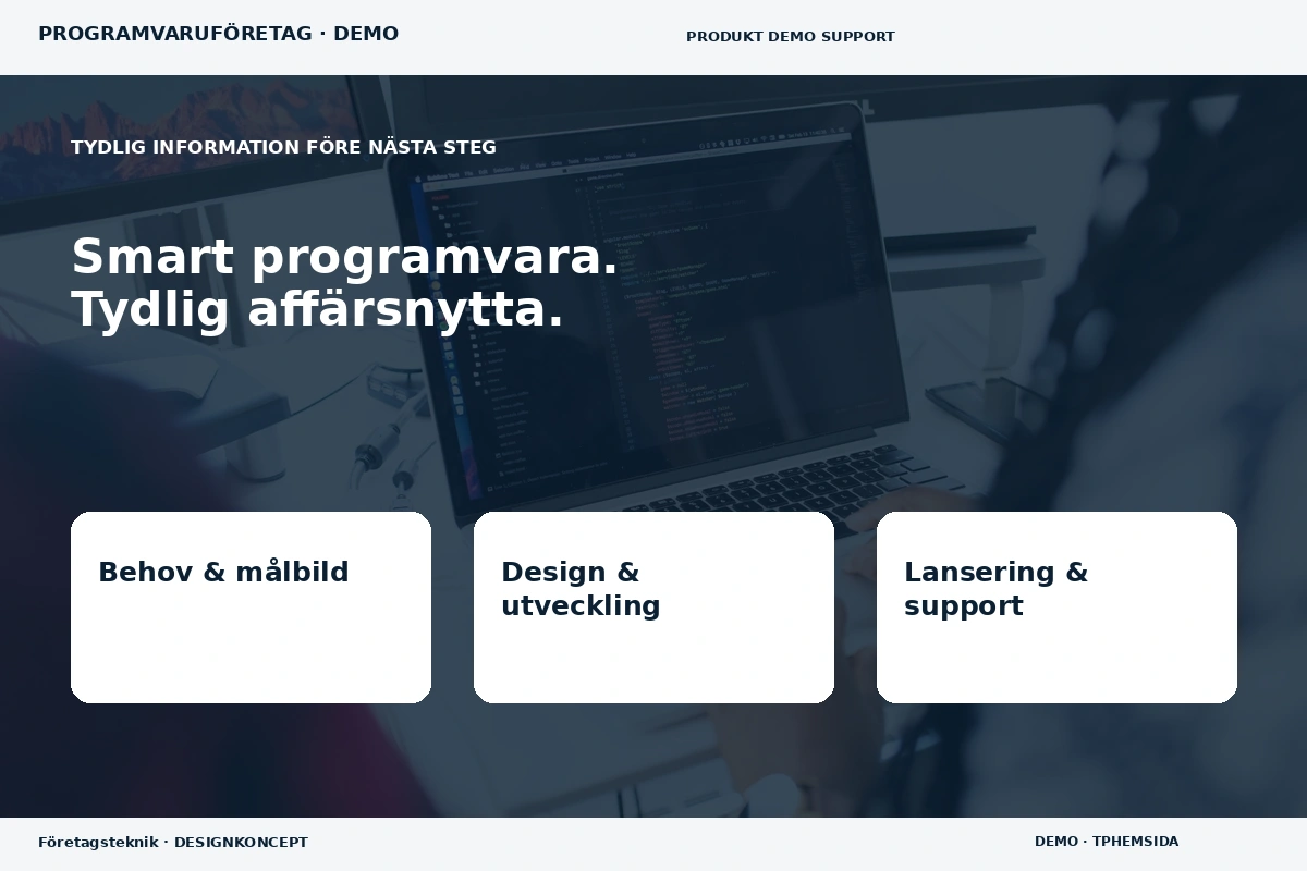 Företagsteknik – Inför ditt val för programvaruföretag