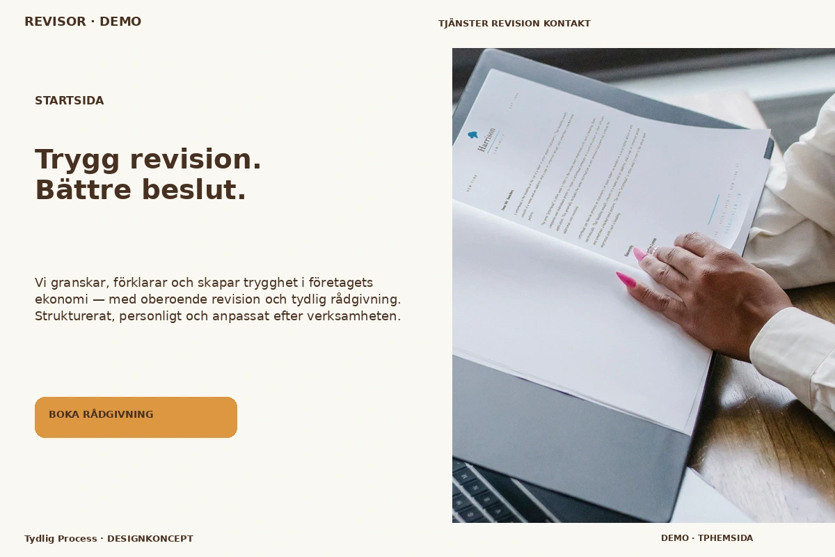 Tydlig Process – Startsida för revisor