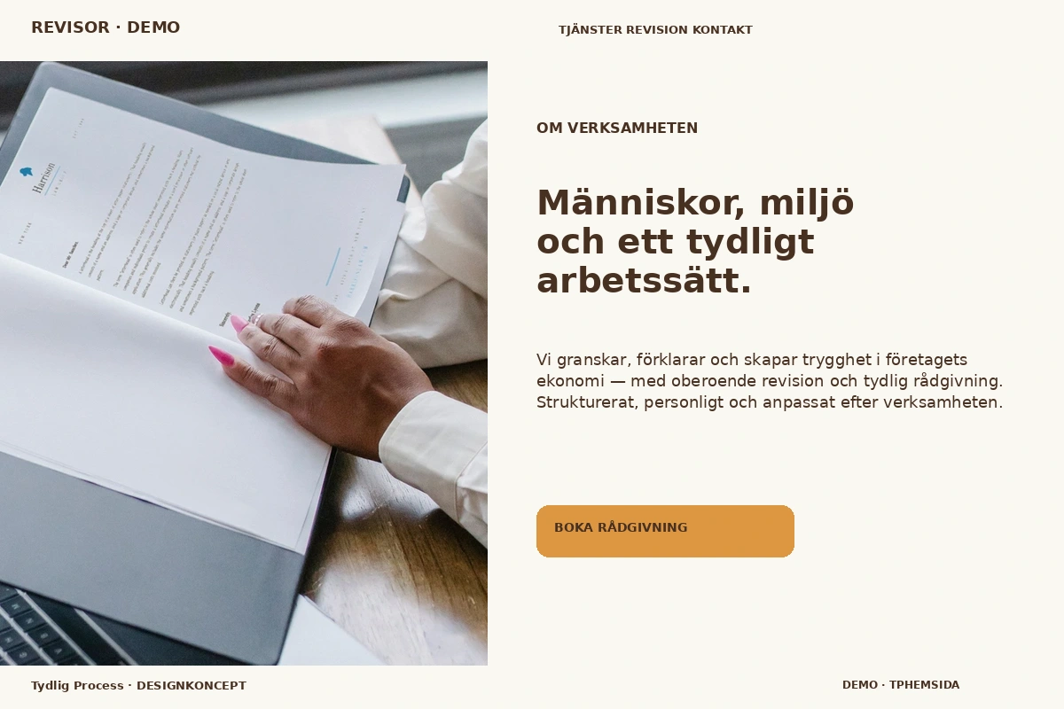 Tydlig Process – Om verksamheten för revisor