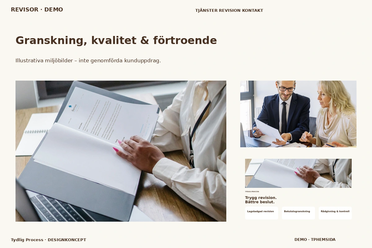 Tydlig Process – Granskning, kvalitet & förtroende för revisor