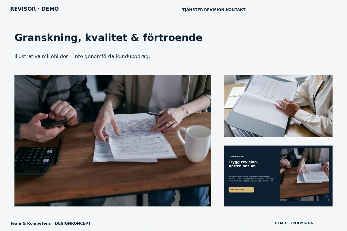 Team & Kompetens – Granskning, kvalitet & förtroende för revisor