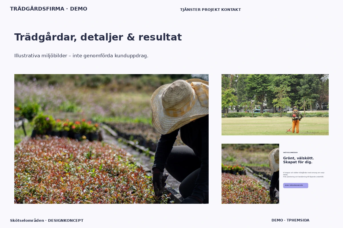Skötselområden – Trädgårdar, detaljer & resultat för trädgårdsfirma