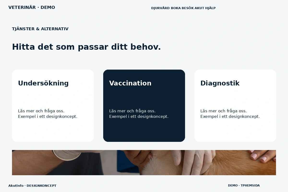 Akutinfo – Tjänster & alternativ för veterinär