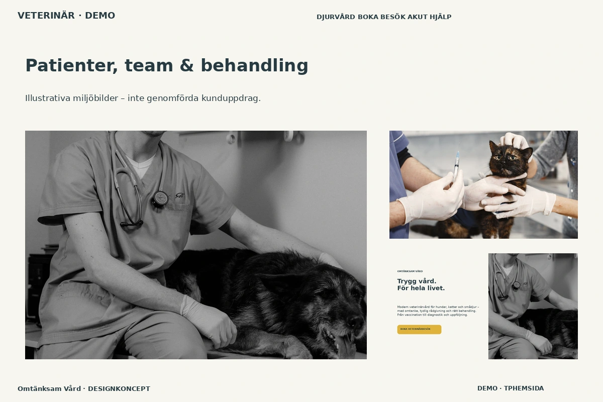 Omtänksam Vård – Patienter, team & behandling för veterinär