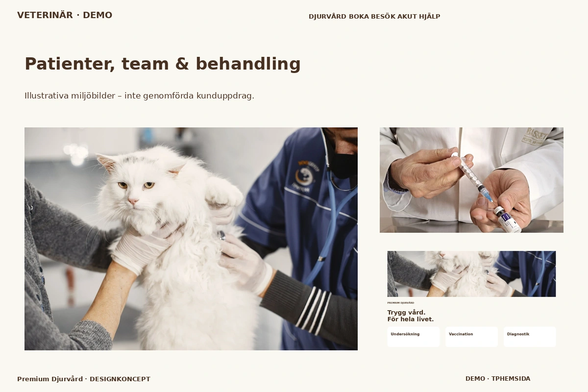 Premium Djurvård – Patienter, team & behandling för veterinär