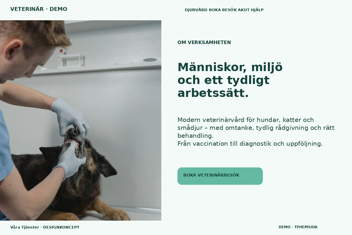 Våra Tjänster – Om verksamheten för veterinär