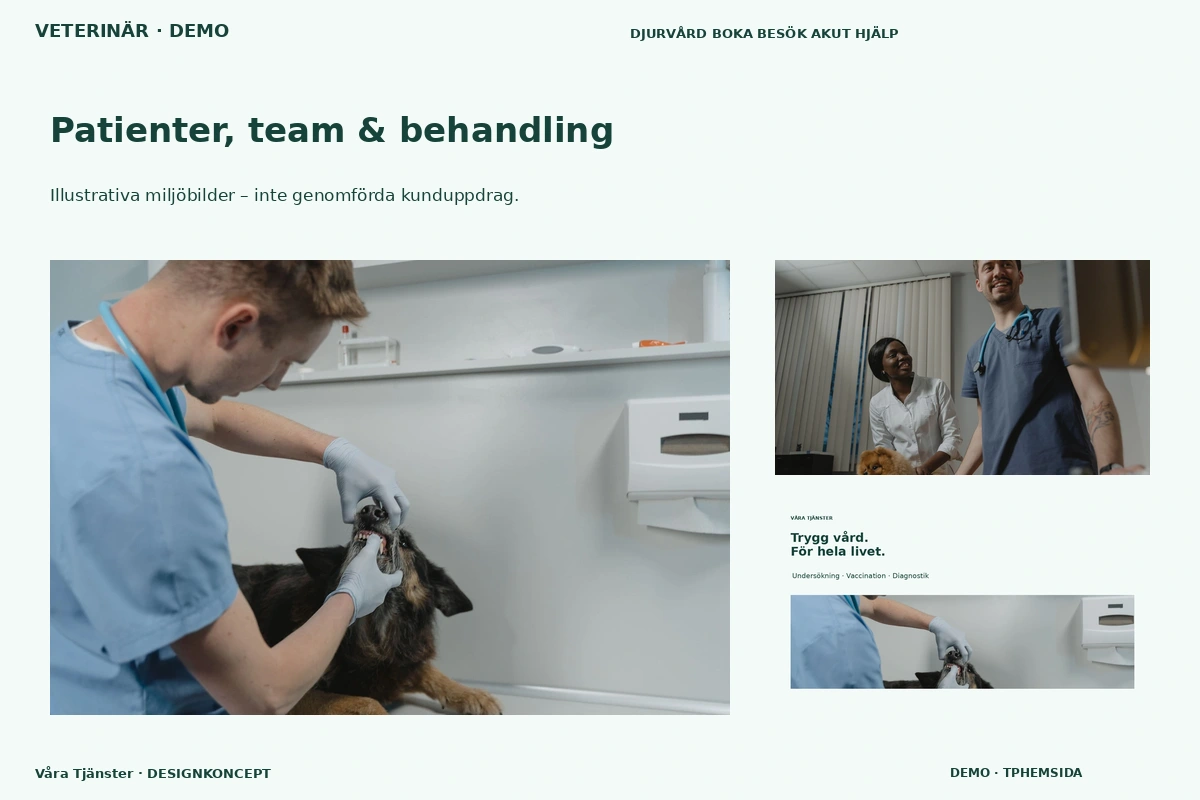 Våra Tjänster – Patienter, team & behandling för veterinär