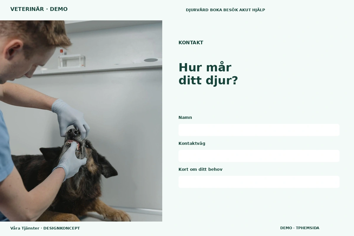 Våra Tjänster – Kontakt för veterinär