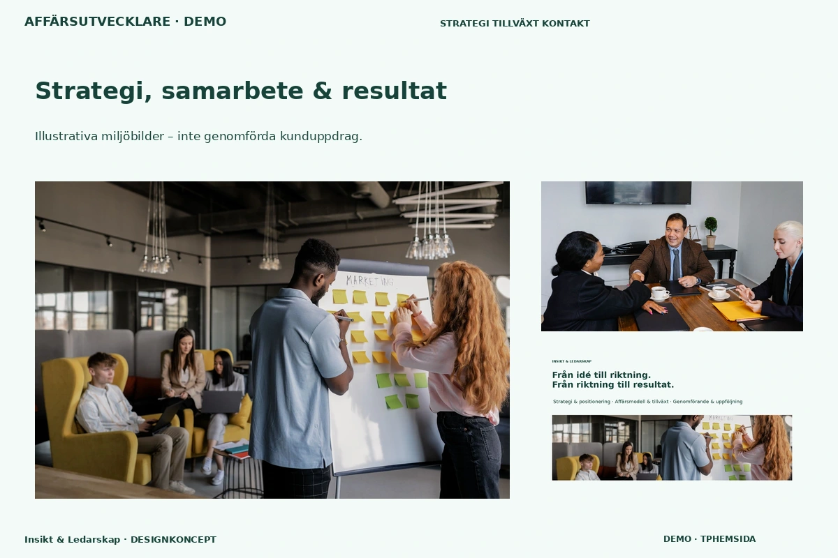 Insikt & Ledarskap – Strategi, samarbete & resultat för affärsutvecklare