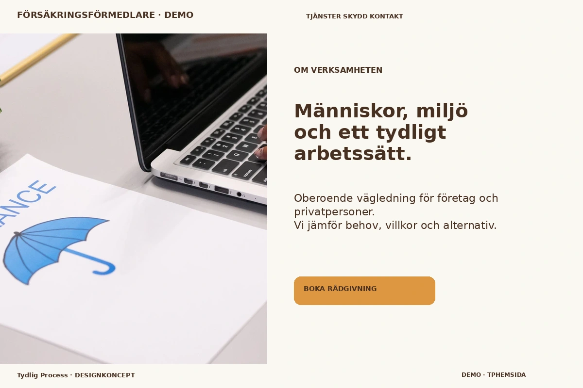 Tydlig Process – Om verksamheten för försäkringsförmedlare