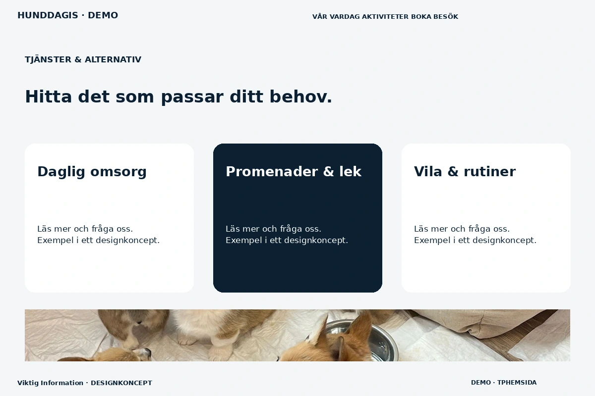Viktig Information – Tjänster & alternativ för hunddagis