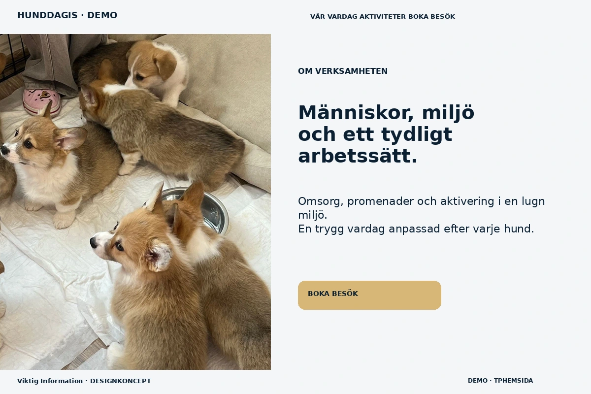 Viktig Information – Om verksamheten för hunddagis