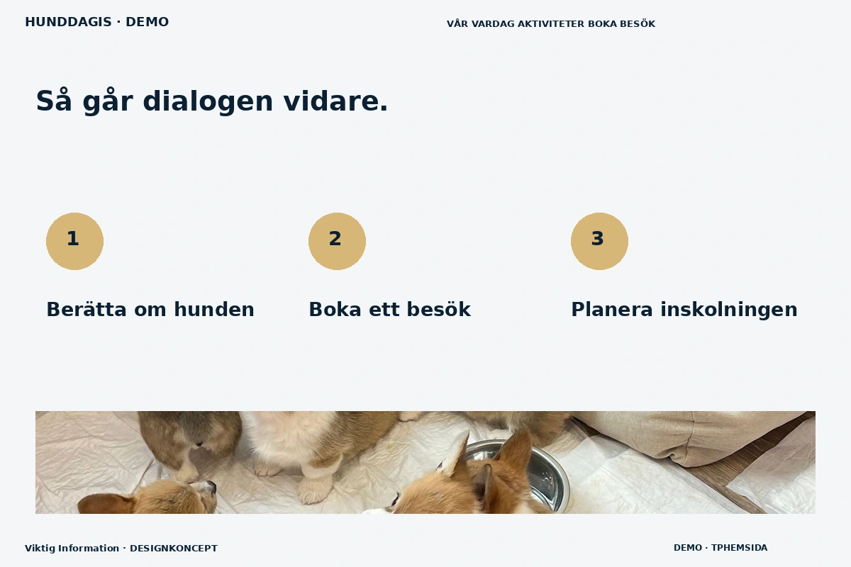 Viktig Information – Så fungerar dialogen för hunddagis