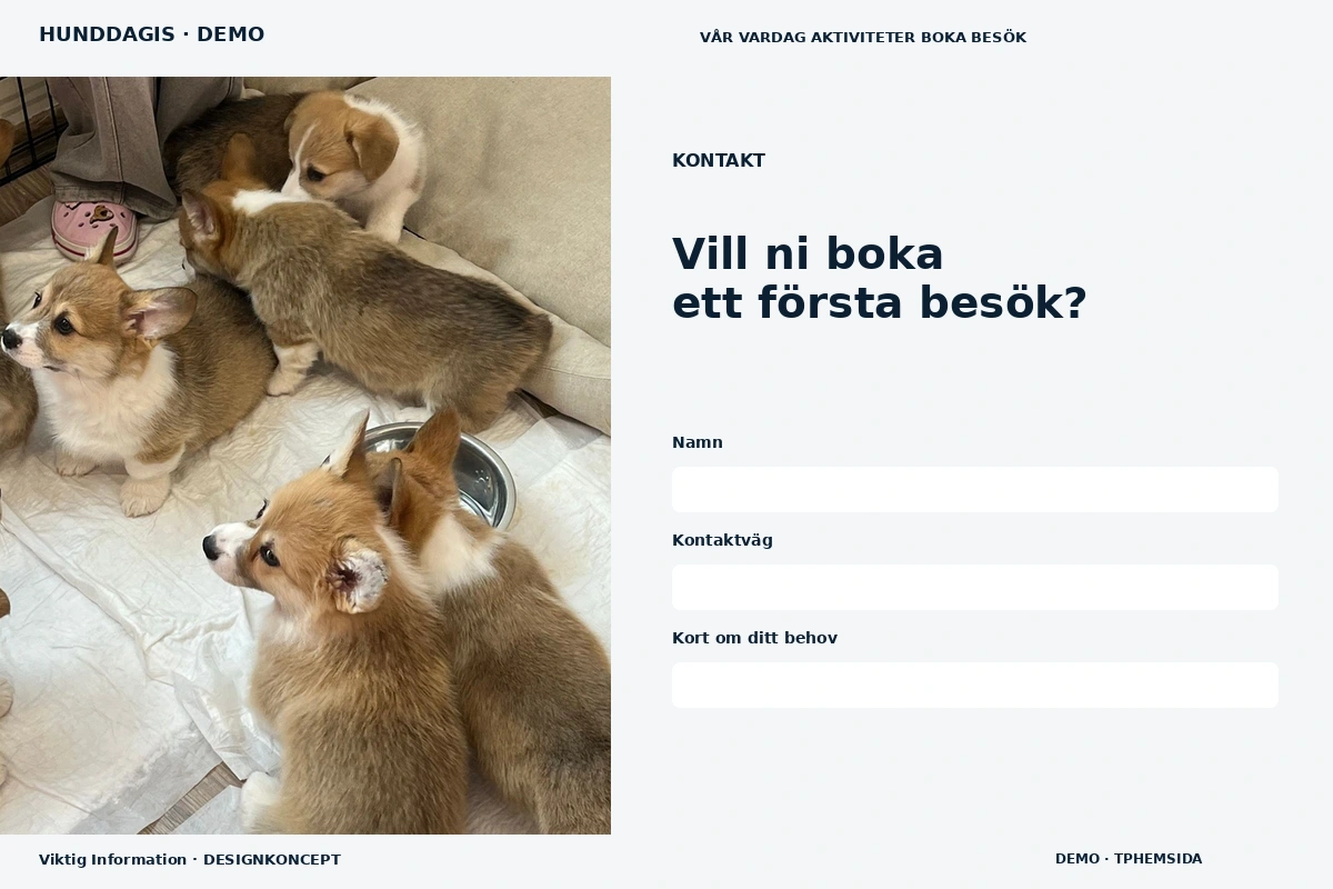 Viktig Information – Kontakt för hunddagis