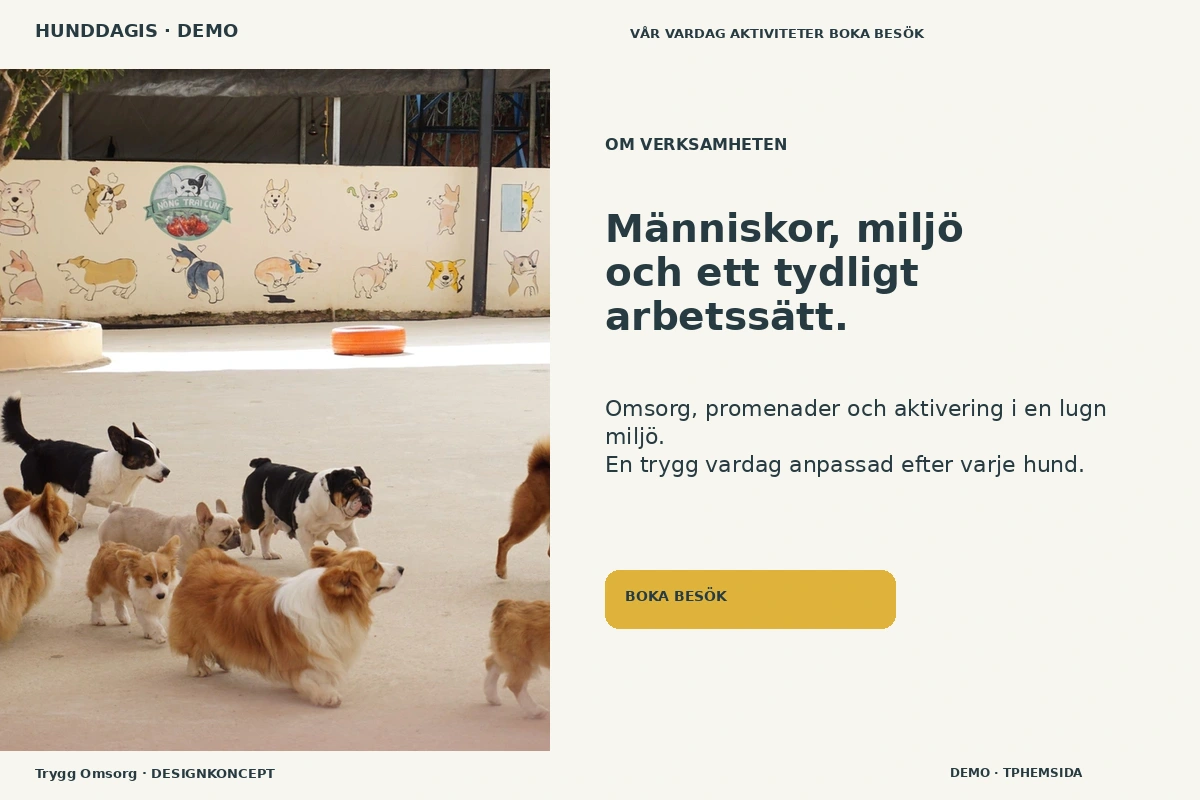 Trygg Omsorg – Om verksamheten för hunddagis