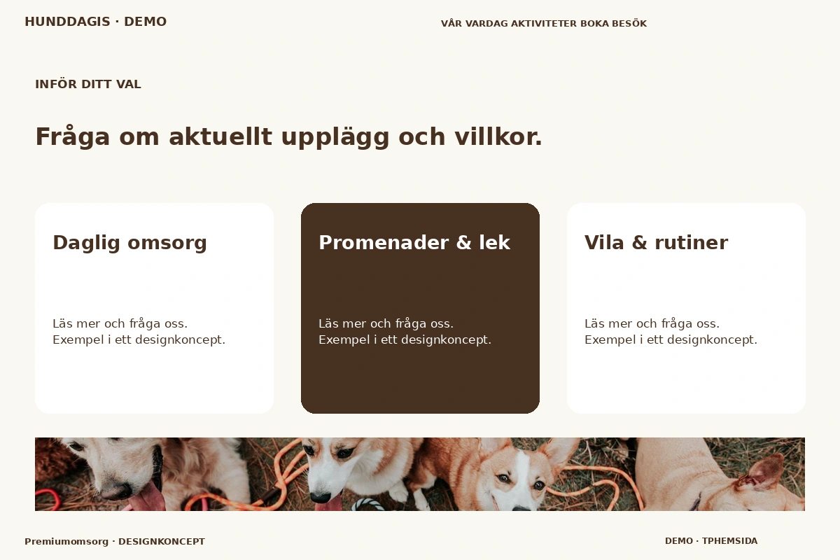 Premiumomsorg – Alternativ & villkor för hunddagis