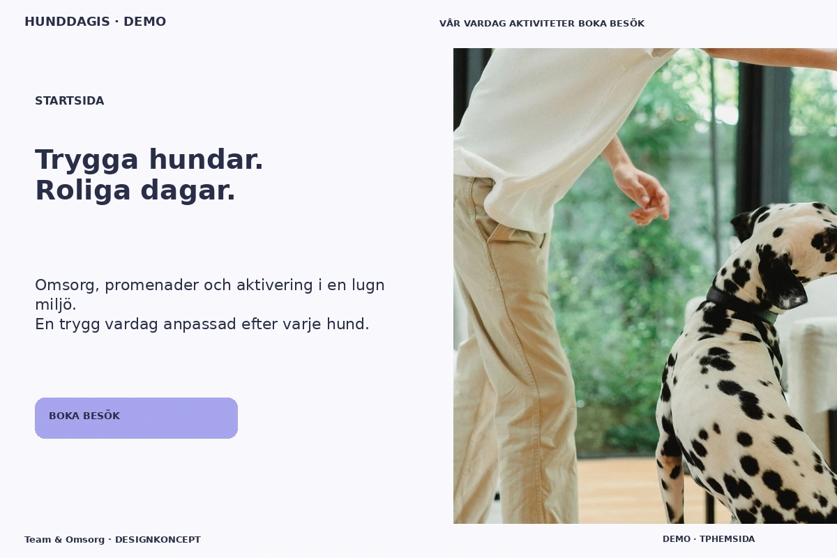 Team & Omsorg – Startsida för hunddagis