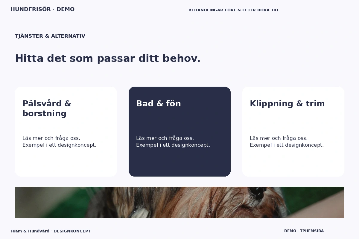 Team & Hundvård – Tjänster & alternativ för hundfrisör