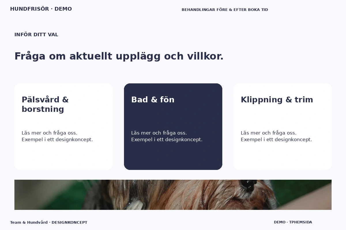 Team & Hundvård – Alternativ & villkor för hundfrisör