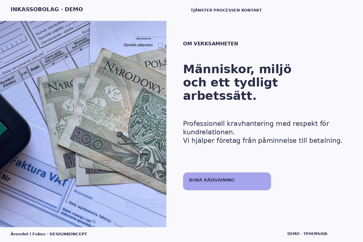 Ärendet i Fokus – Om verksamheten för inkassobolag