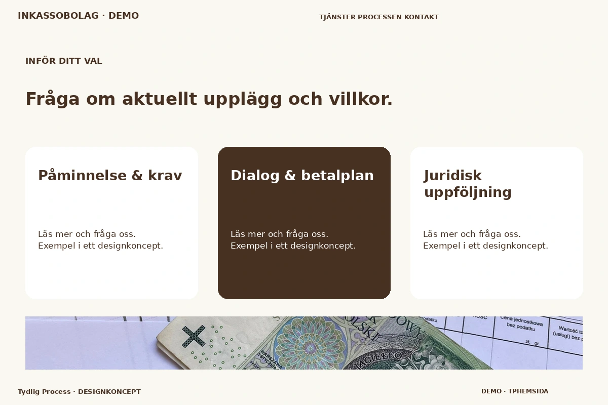 Tydlig Process – Alternativ & villkor för inkassobolag