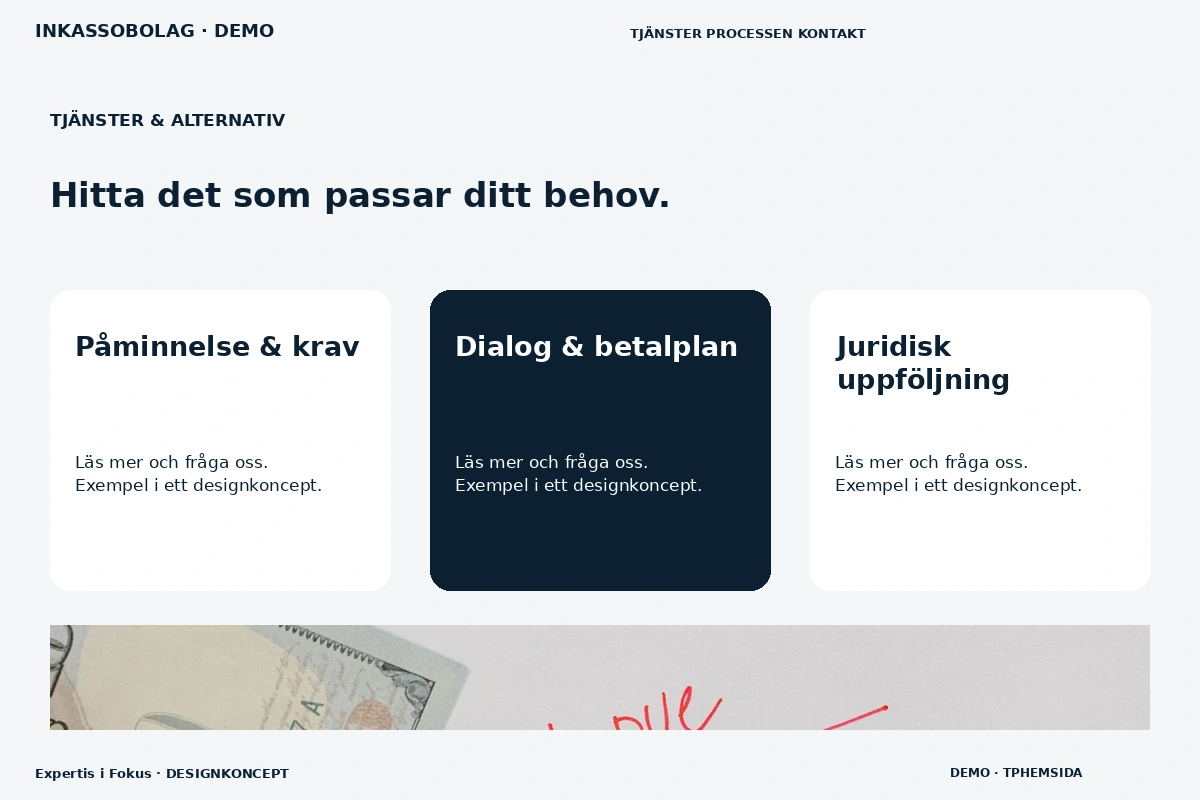 Expertis i Fokus – Tjänster & alternativ för inkassobolag