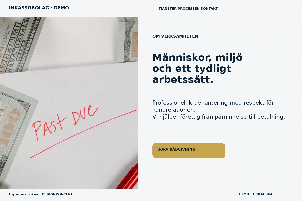 Expertis i Fokus – Om verksamheten för inkassobolag